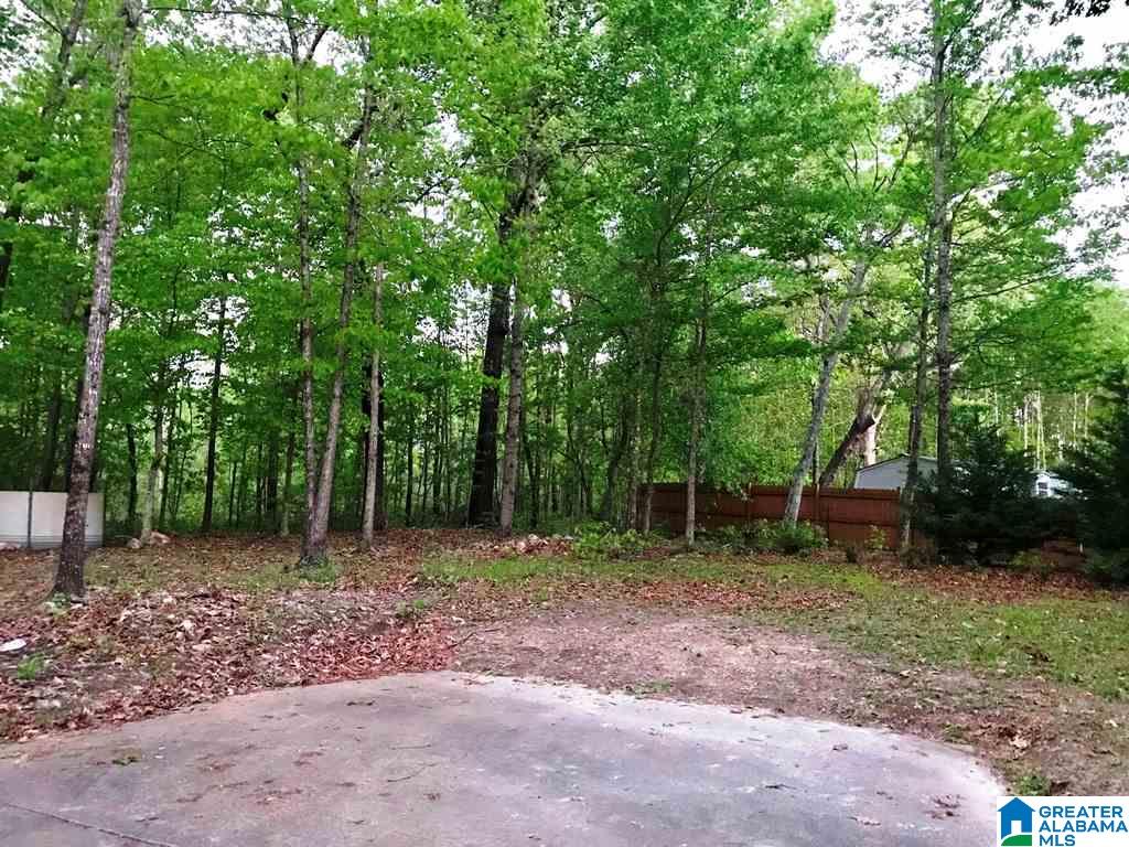 263 Cauthen Circle Roanoke, AL 36274 - Photo 8 of 28
