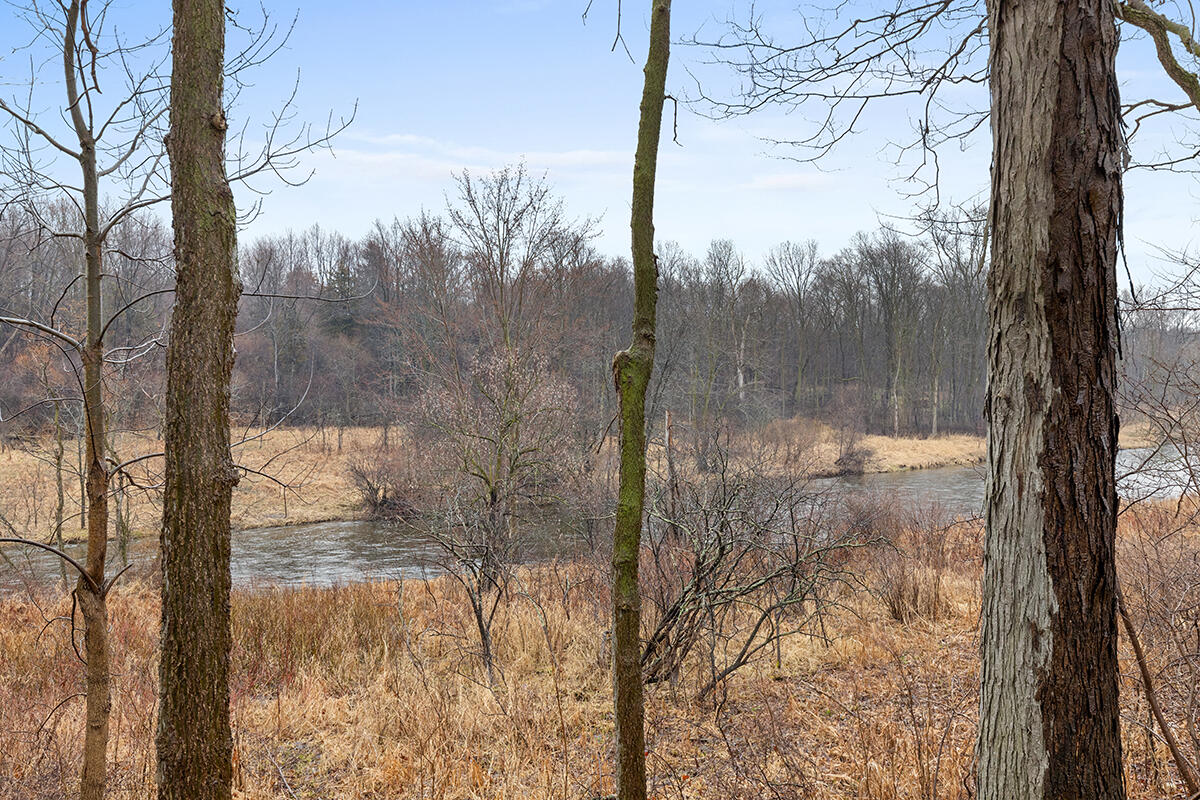 117 Rindle Bluff Portland, MI 48875 - Photo 33 of 35 Looking Glass River Frontage