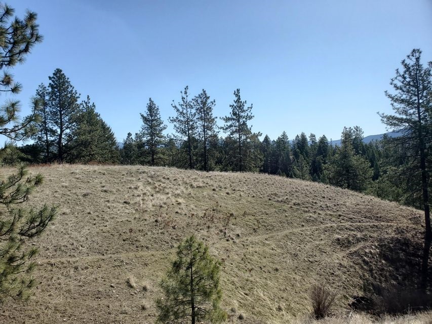 30 Tipton Road Kettle Falls, WA 99141 - Photo 4 of 20 Gallery Image 4