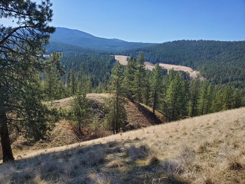 30 Tipton Road Kettle Falls, WA 99141 - Photo 5 of 20 Gallery Image 5