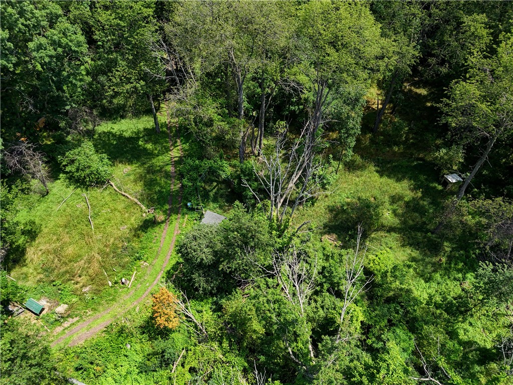 4919 Upper Holley Road Clarendon, NY 14470 - Photo 48 of 50
