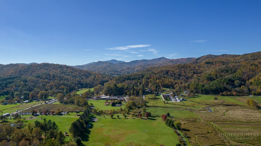 a view of a lush green hillside and houses