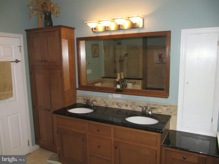 284 South Roberts Road Bryn Mawr, PA 19010 - Photo 17 of 25 Master Bathroom