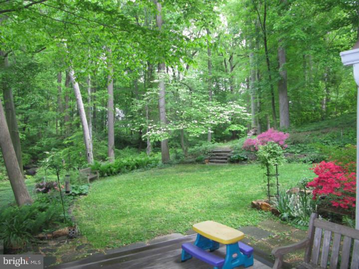 284 South Roberts Road Bryn Mawr, PA 19010 - Photo 21 of 25 Back Yard