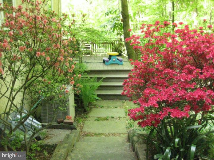 284 South Roberts Road Bryn Mawr, PA 19010 - Photo 23 of 25 Garden