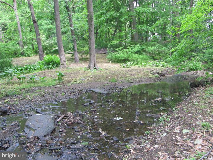 284 South Roberts Road Bryn Mawr, PA 19010 - Photo 25 of 25 Back Yard