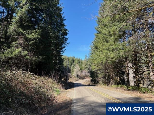 0 Logsden Road Blodgett, OR 97326 - Photo 10 of 24