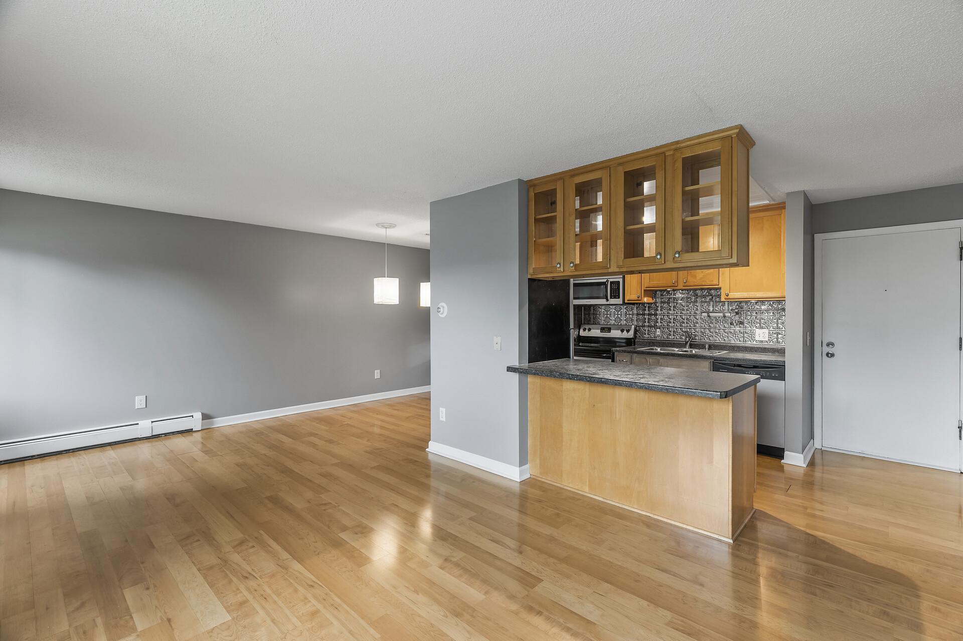 4110 Rahn Road, Unit 223 Eagan, MN 55122 - Photo 4 of 31
