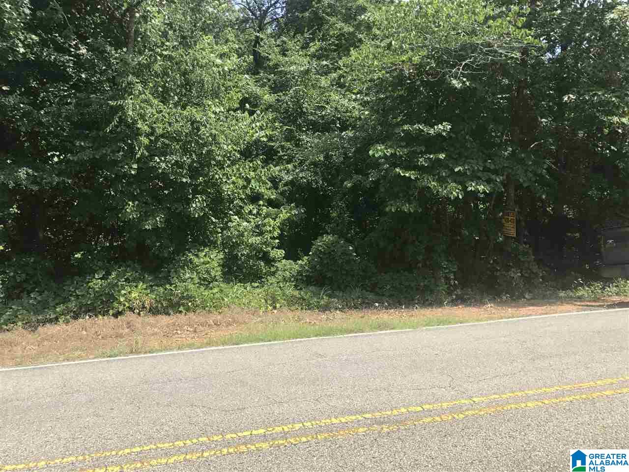 River Bend Road, Unit 4 Northport, AL 35475 - Photo 4 of 8