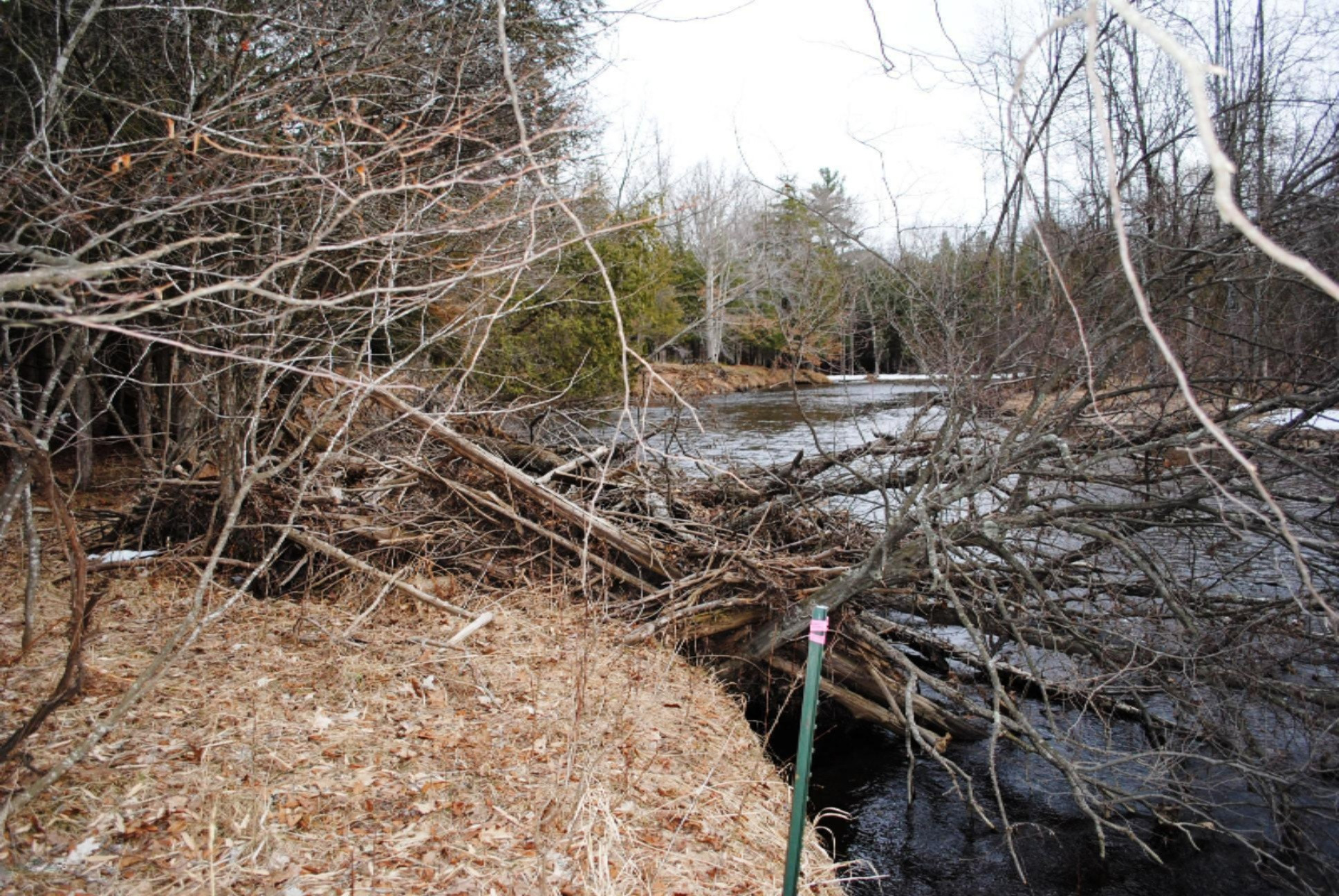 8 South Taylor Rd Branch Branch, MI 49402 - Photo 8 of 10 DSC_0016.jpg