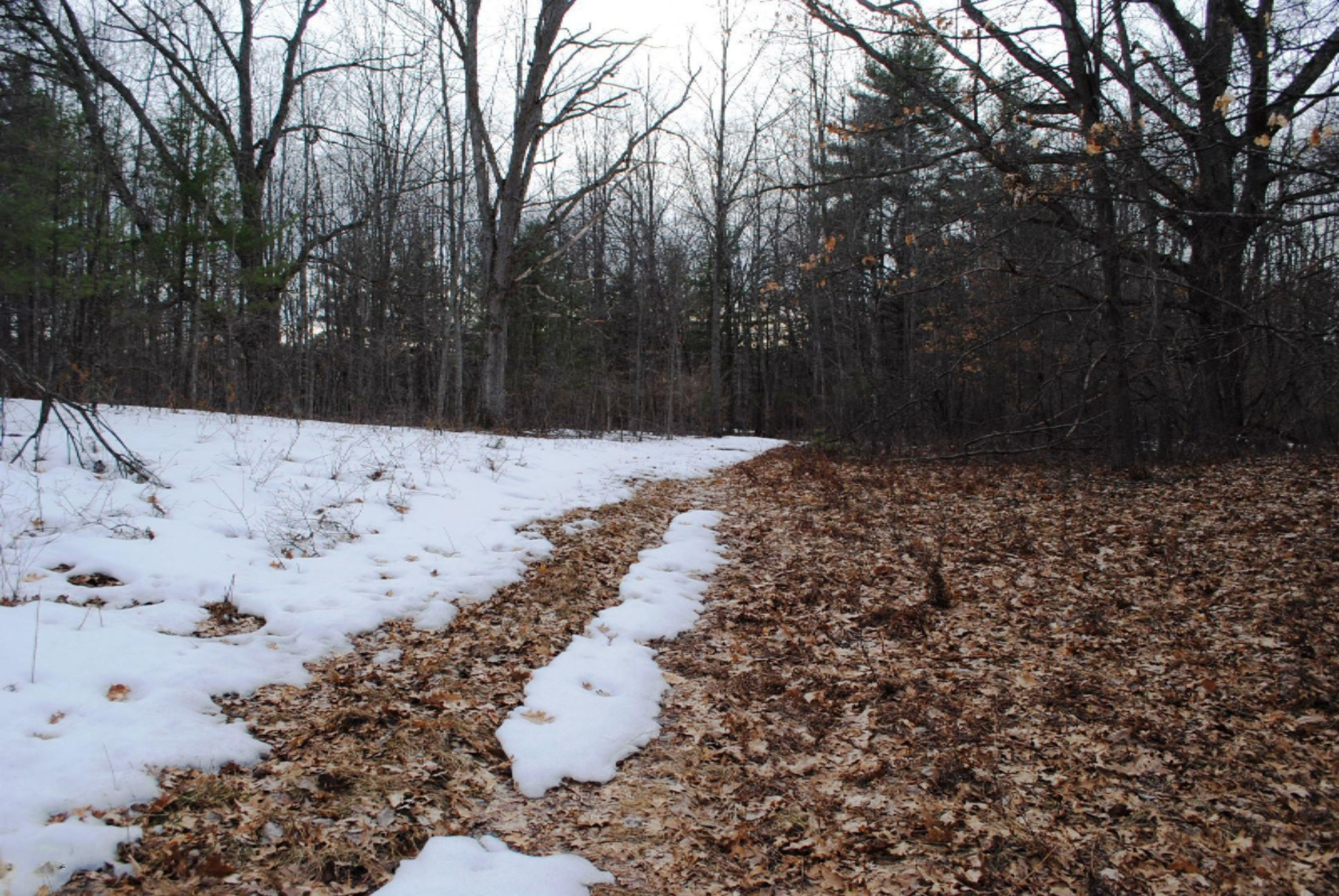 8 South Taylor Rd Branch Branch, MI 49402 - Photo 9 of 10 DSC_0018.jpg