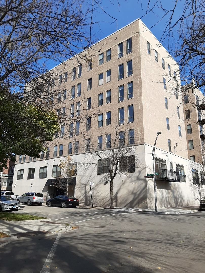 811 South Lytle Street, Unit 403 Chicago, IL 60607 - Photo 1 of 17