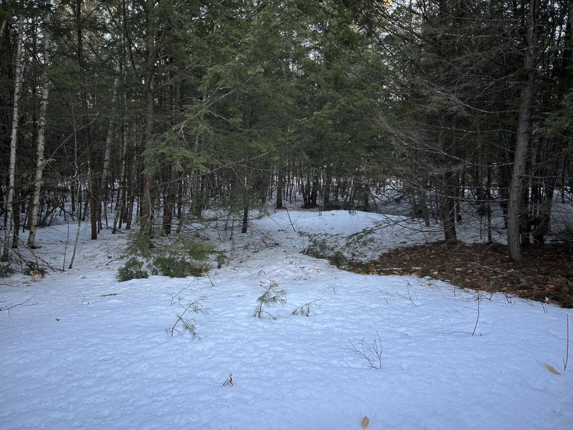 Map13-lot11 Field View Road Fryeburg, ME 04037 - Photo 32 of 37