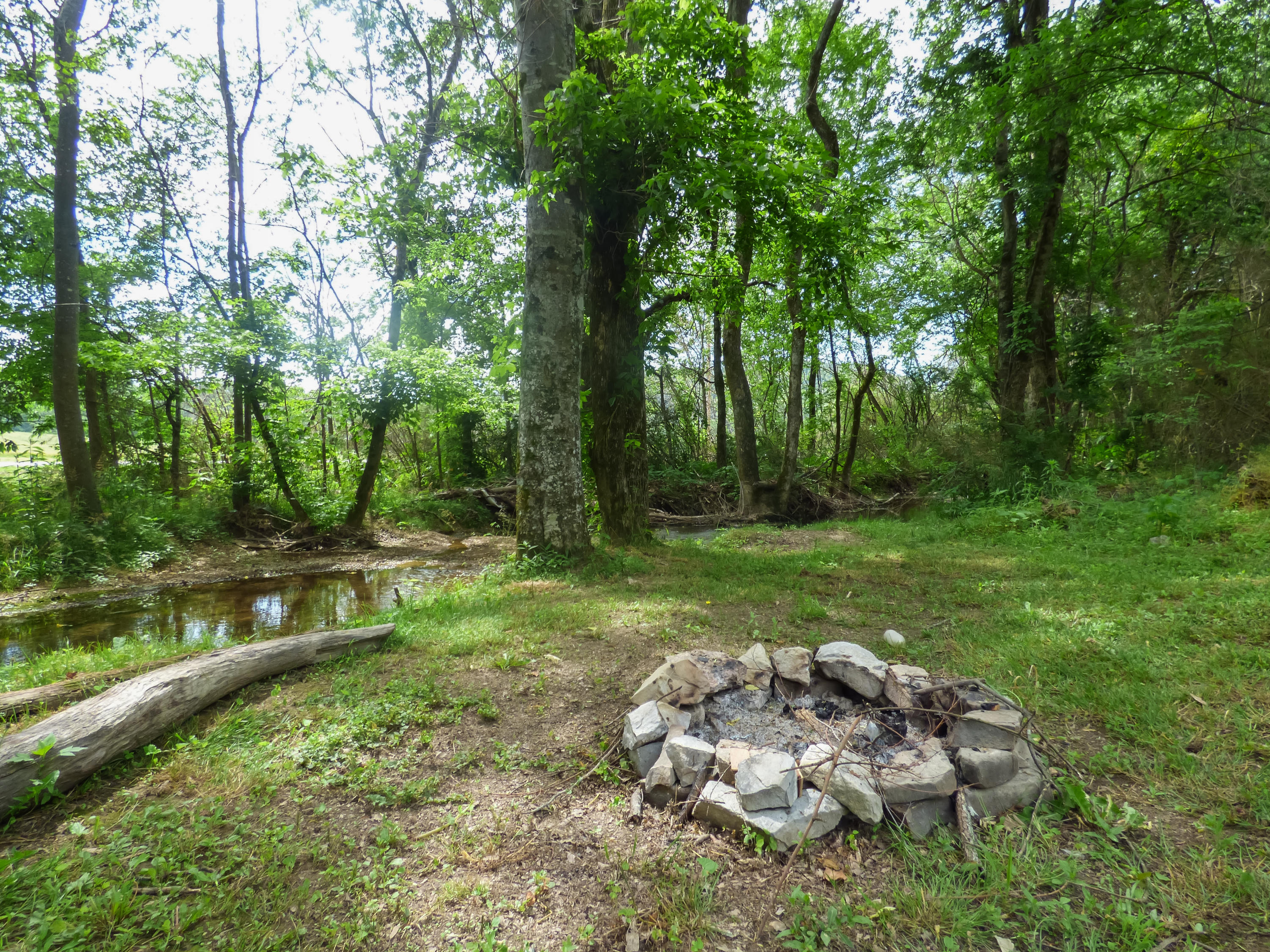309 Oneil Road Trion, GA 30753 - Photo 19 of 31 P1020477