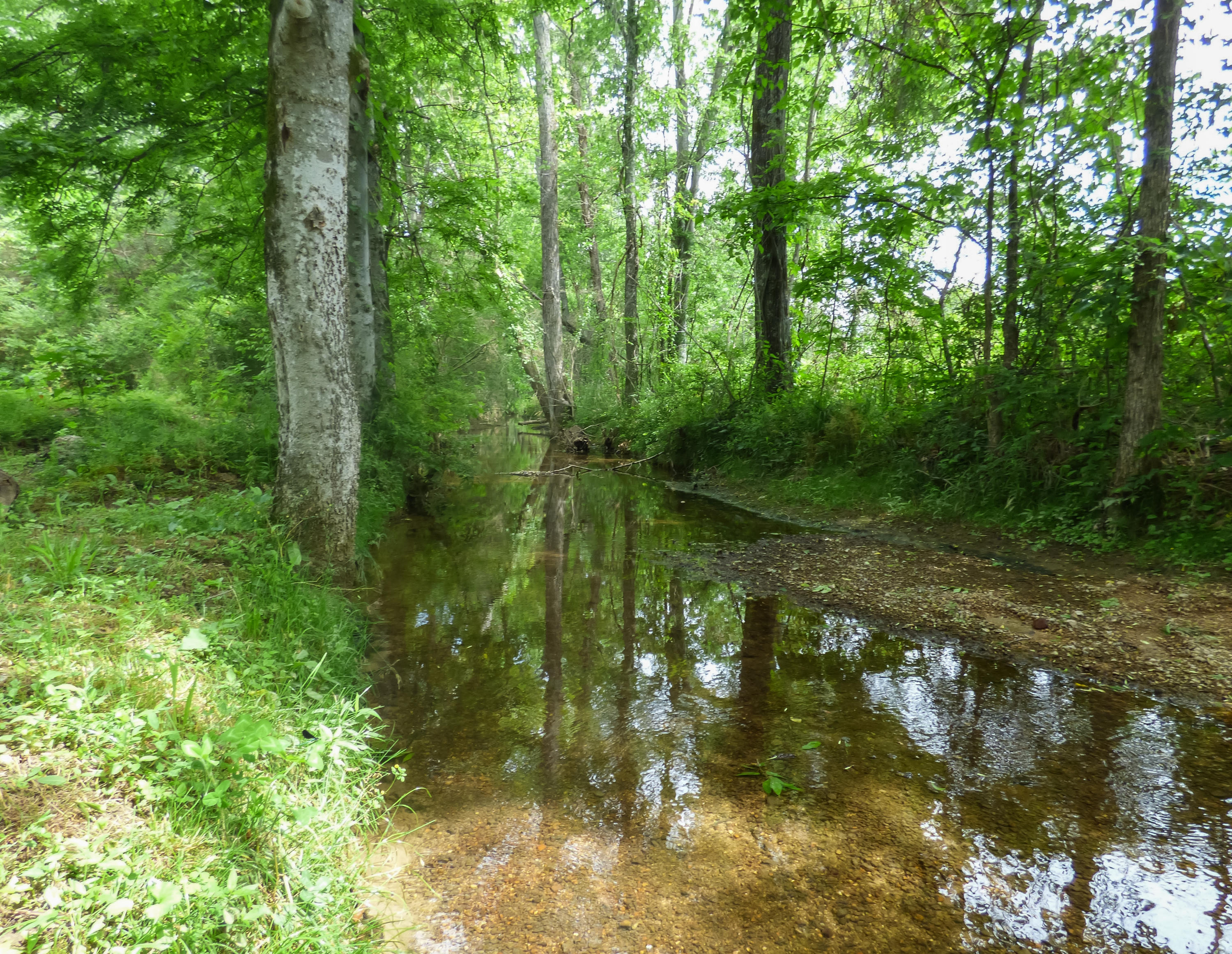 309 Oneil Road Trion, GA 30753 - Photo 20 of 31 P1020475