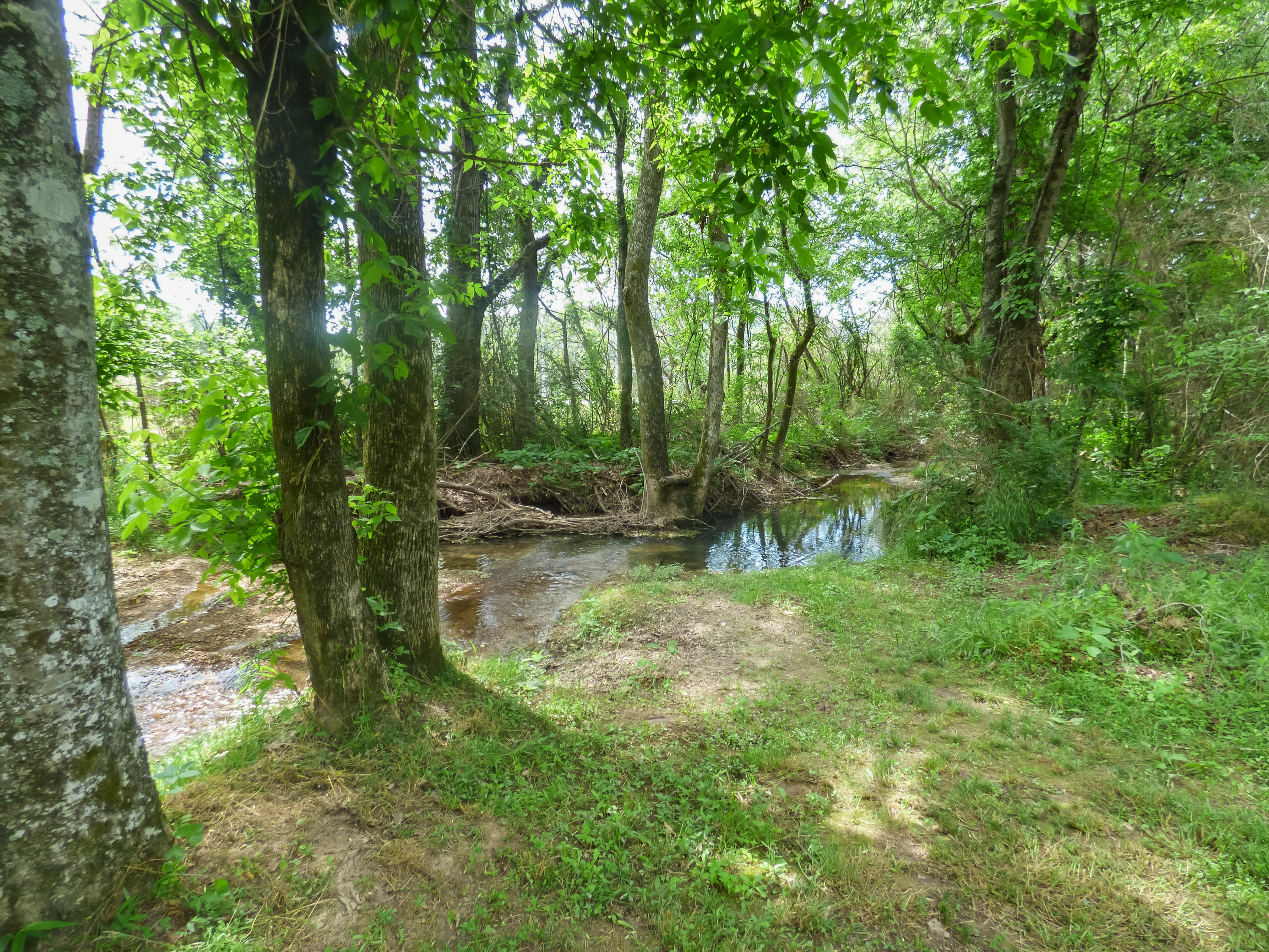 309 Oneil Road Trion, GA 30753 - Photo 21 of 31 P1020473