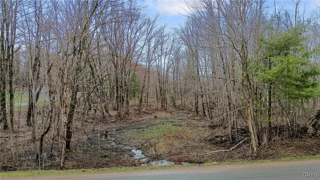 $265,000 | Perfield Road, Hastings, NY 13076