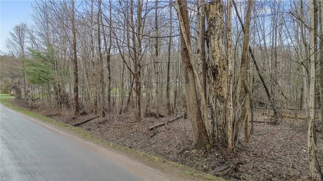 $265,000 | Perfield Road, Hastings, NY 13076