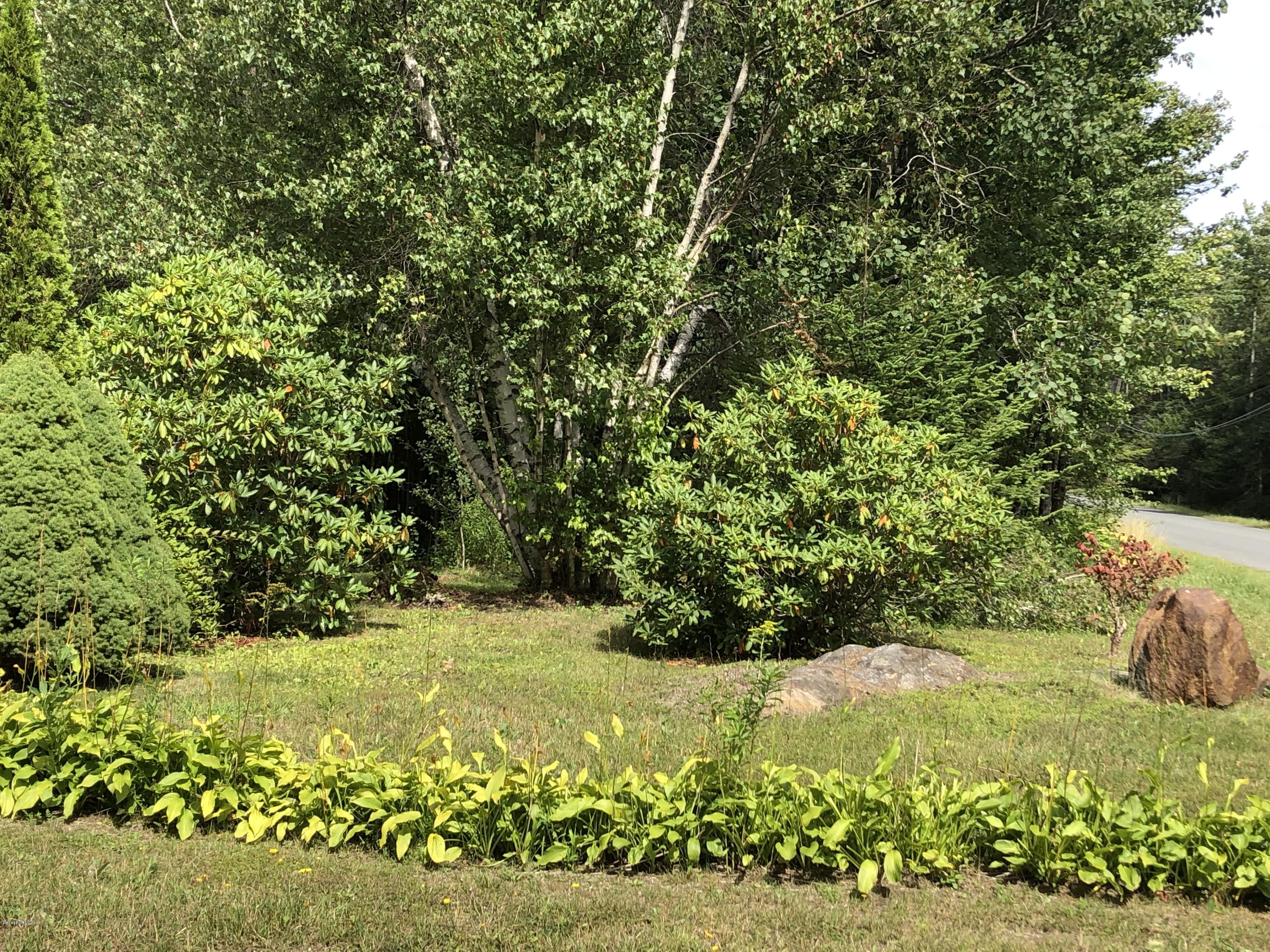 55 East Windsor Road Peru, MA 01235 - Photo 3 of 28 a view of yard with green space