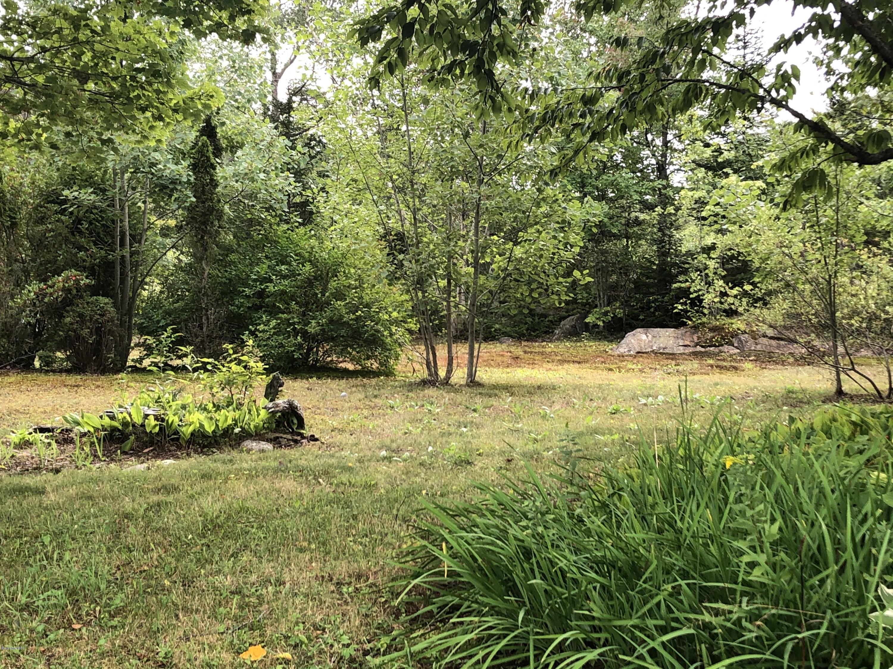 55 East Windsor Road Peru, MA 01235 - Photo 4 of 28 a view of a yard with a tree