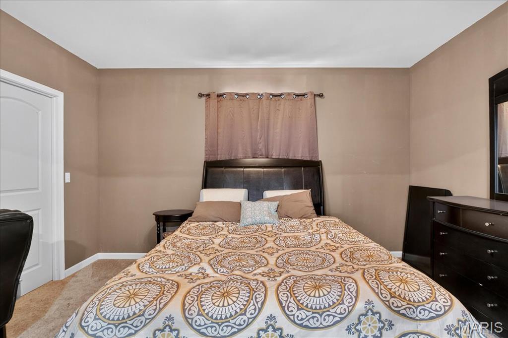 1613 Ontario Drive Waterloo, IL 62298 - Photo 22 of 36