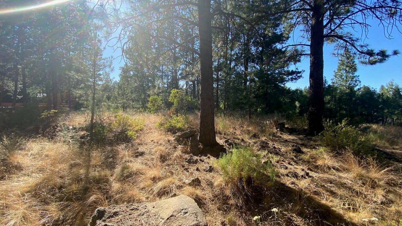 19170 Baker Road Bend, OR 97702 - Photo 21 of 23 IMG_3863
