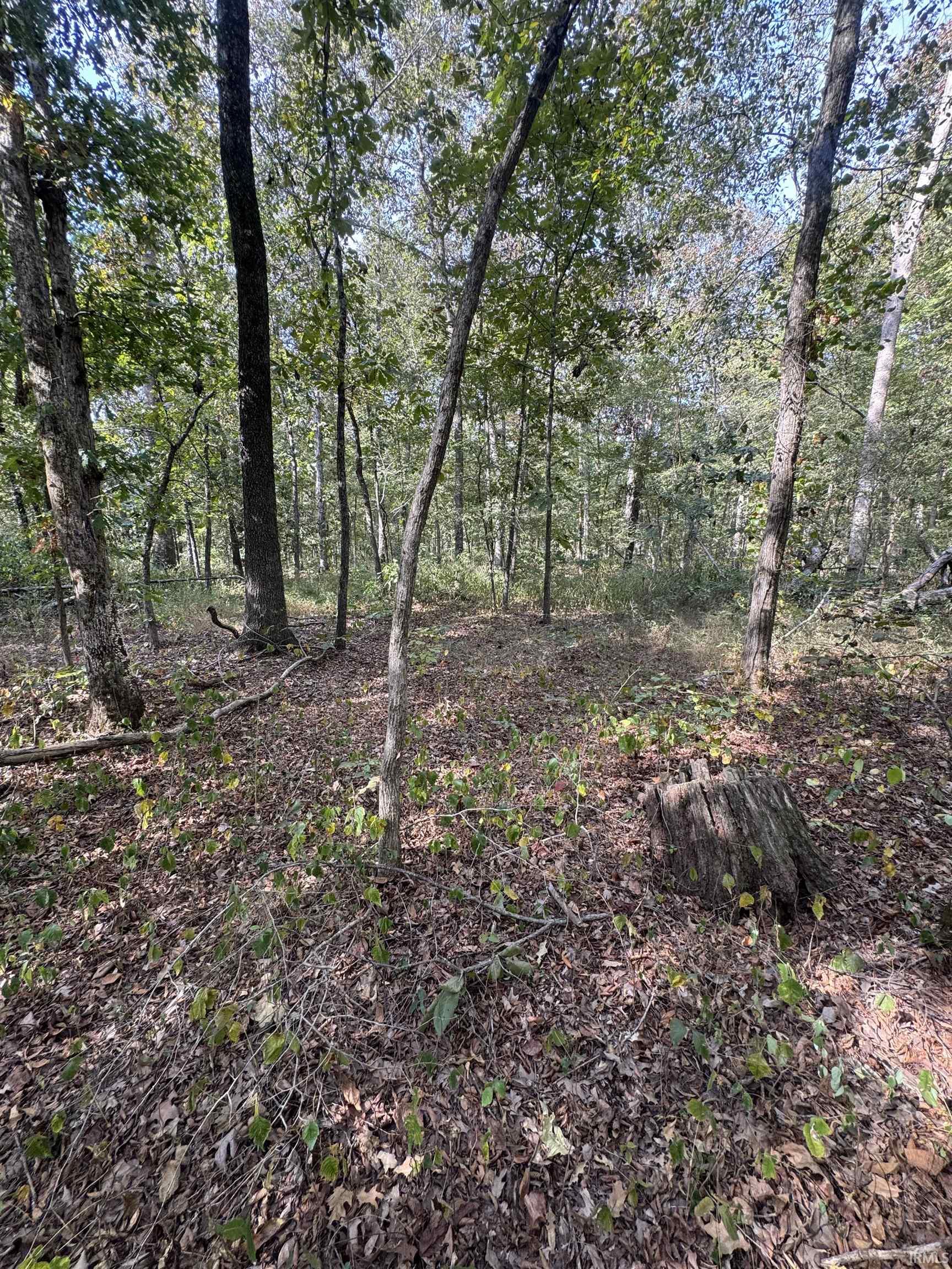 0 Decker Road Boonville, IN 47601 - Photo 8 of 20 Gallery Image 8