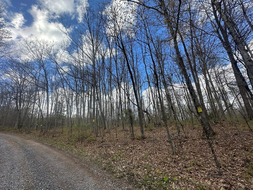 0 Shades Of Death Road Danese, WV 25831 - Photo 6 of 38 Gallery Image 6