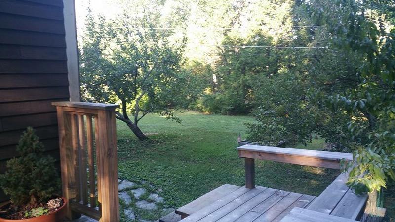 54 Colley Hill Road Gray, ME 04039 - Photo 49 of 50 from deck to side yard