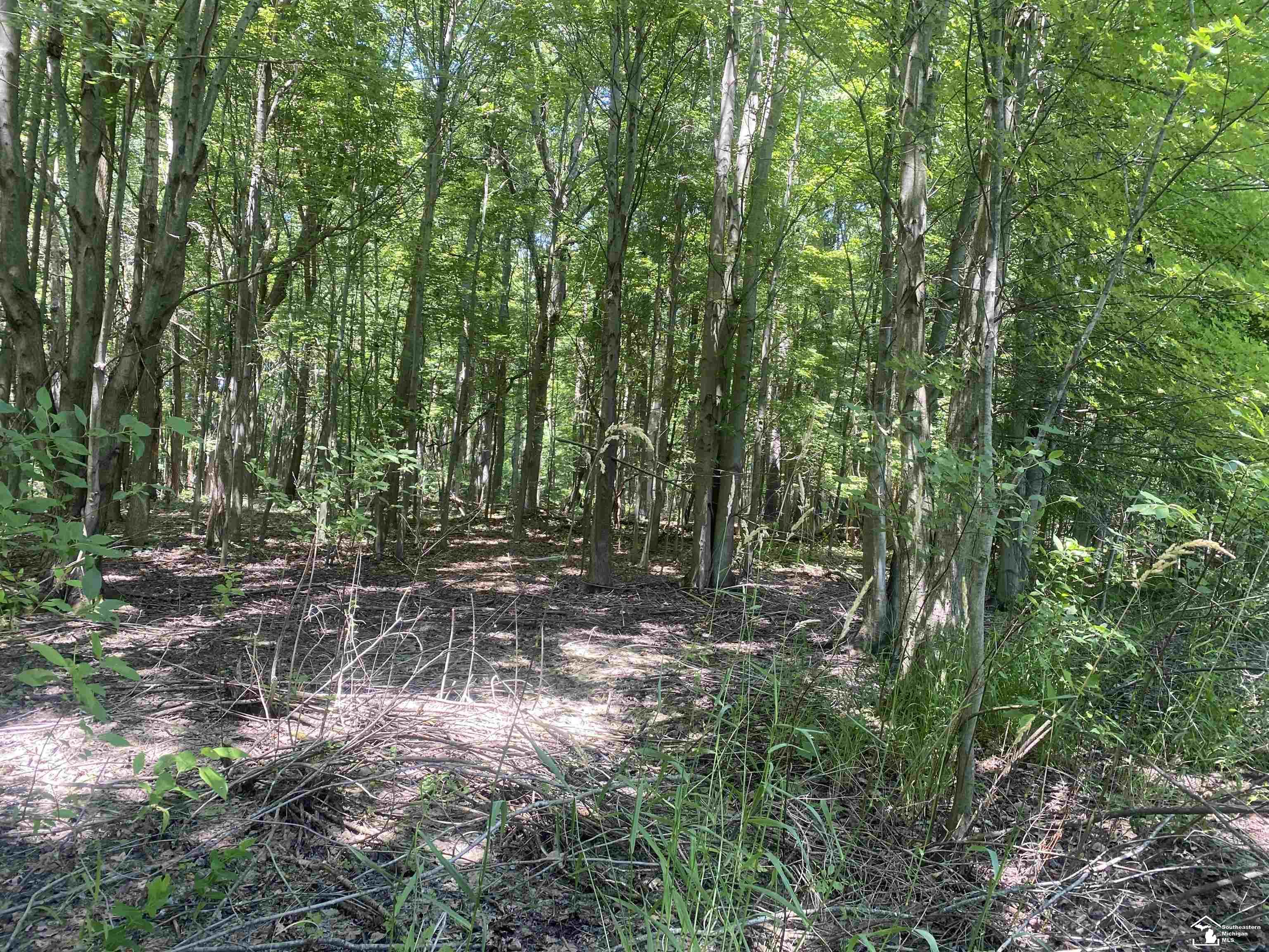 2 Morocco Road Temperance, MI 48182 - Photo 6 of 10