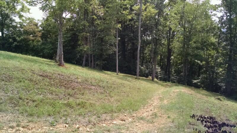 0 Copper Ridge Road Thorn Hill, TN 37881 - Photo 2 of 3 IMG_20150729_121920441-800x450
