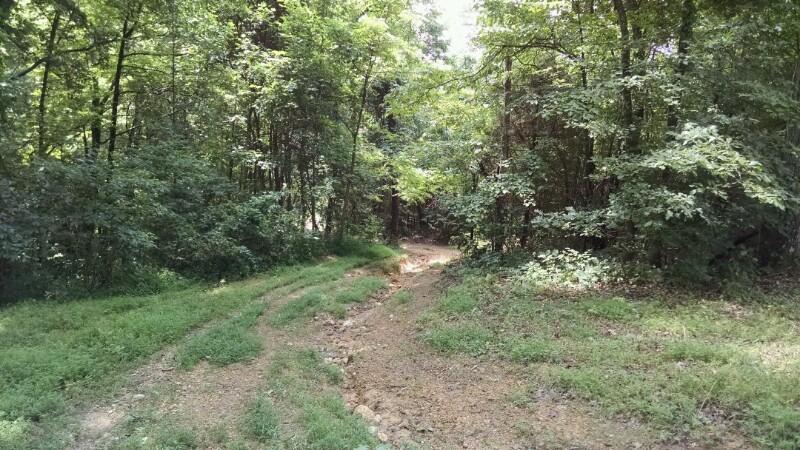 0 Copper Ridge Road Thorn Hill, TN 37881 - Photo 3 of 3 IMG_20150729_121958973-800x450