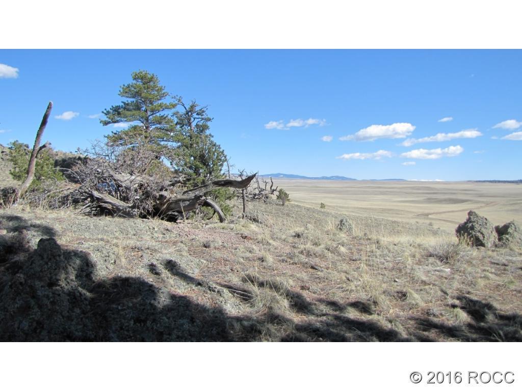 920 Pack Saddle Road Hartsel, CO 80449 - Photo 2 of 5 Gallery Image 2