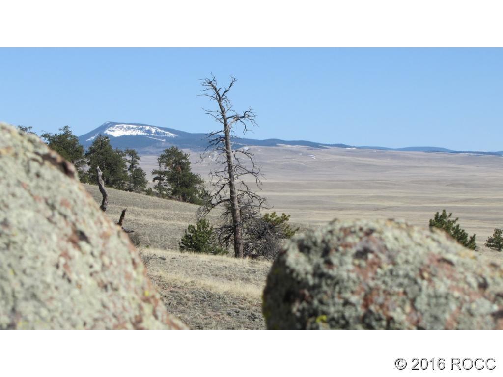 920 Pack Saddle Road Hartsel, CO 80449 - Photo 3 of 5 Gallery Image 3