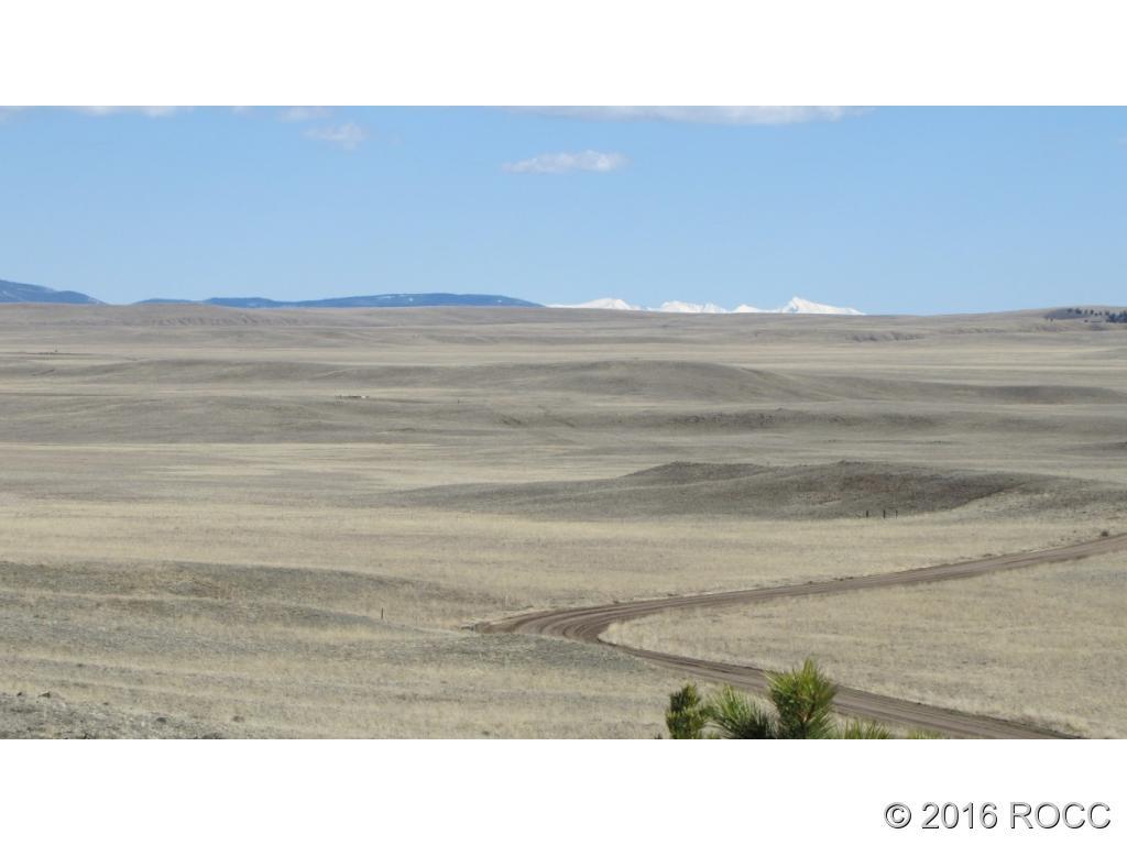 920 Pack Saddle Road Hartsel, CO 80449 - Photo 5 of 5 Gallery Image 5