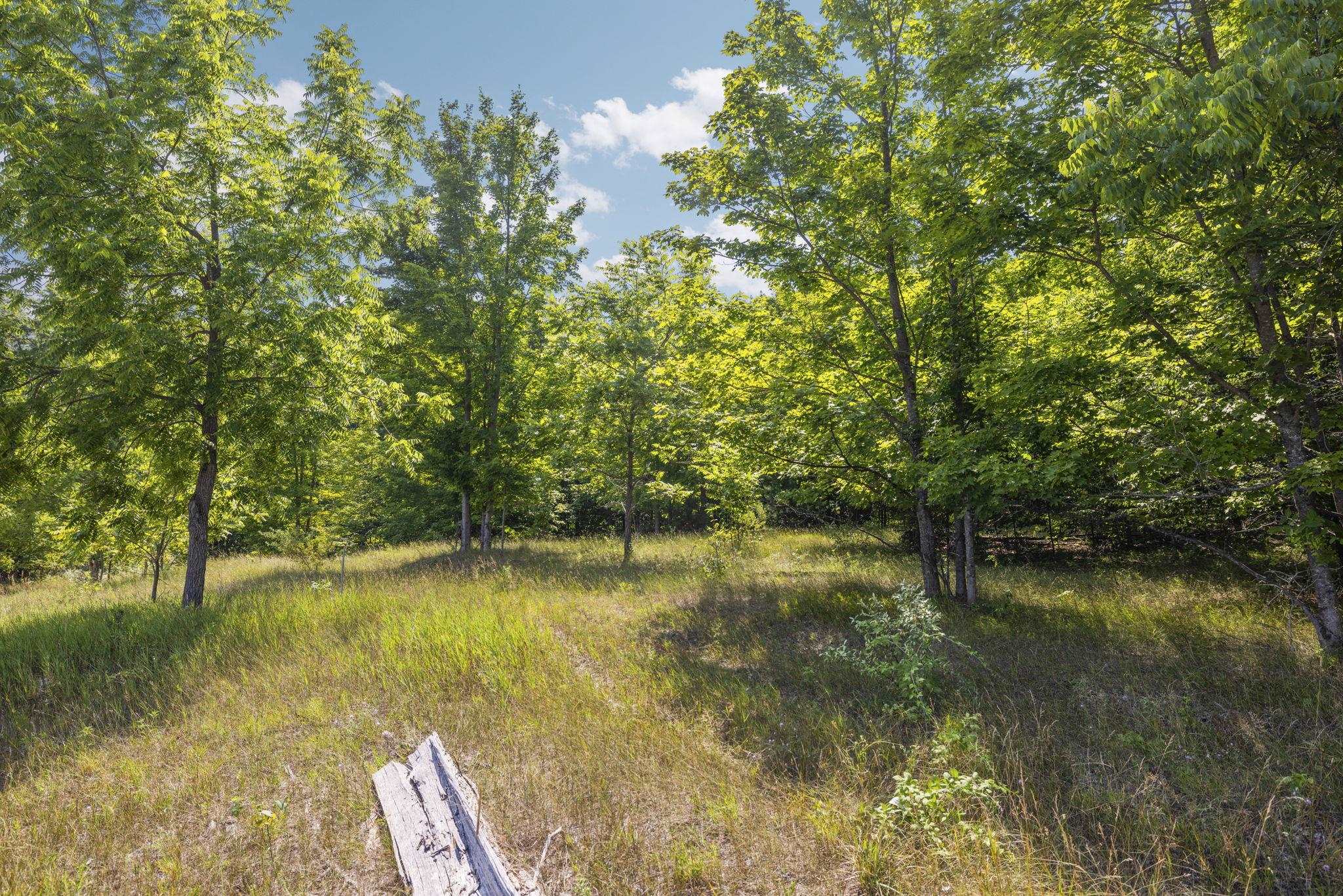 South Hill Road Cedar, MI 49621 - Photo 5 of 15