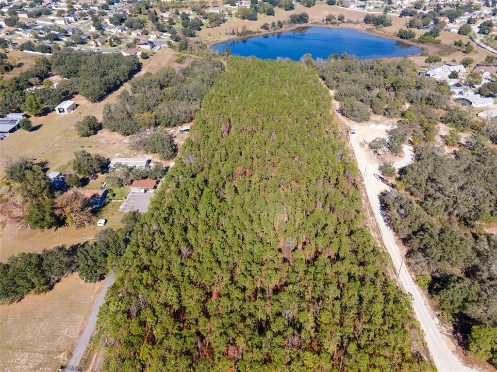 Lost Lake Road Clermont, FL 34711 - Photo 1 of 12
