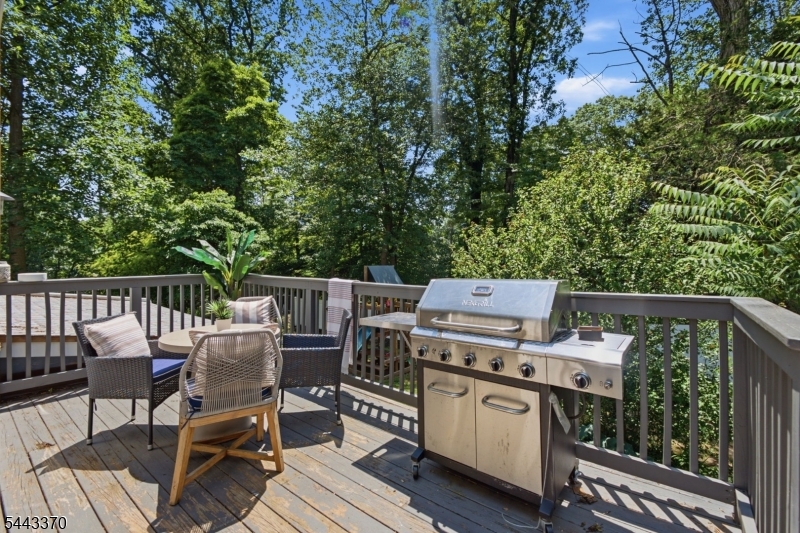 10 Hilsinger Road Mount Tabor, NJ 07878 - Photo 43 of 50