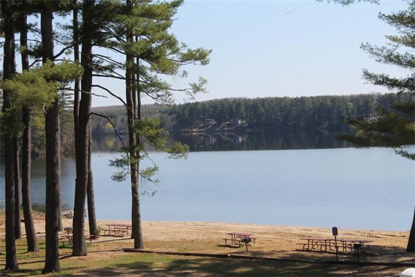 4 Pine Road North Brookfield, MA 01535 - Photo 2 of 7 Gallery Image 2