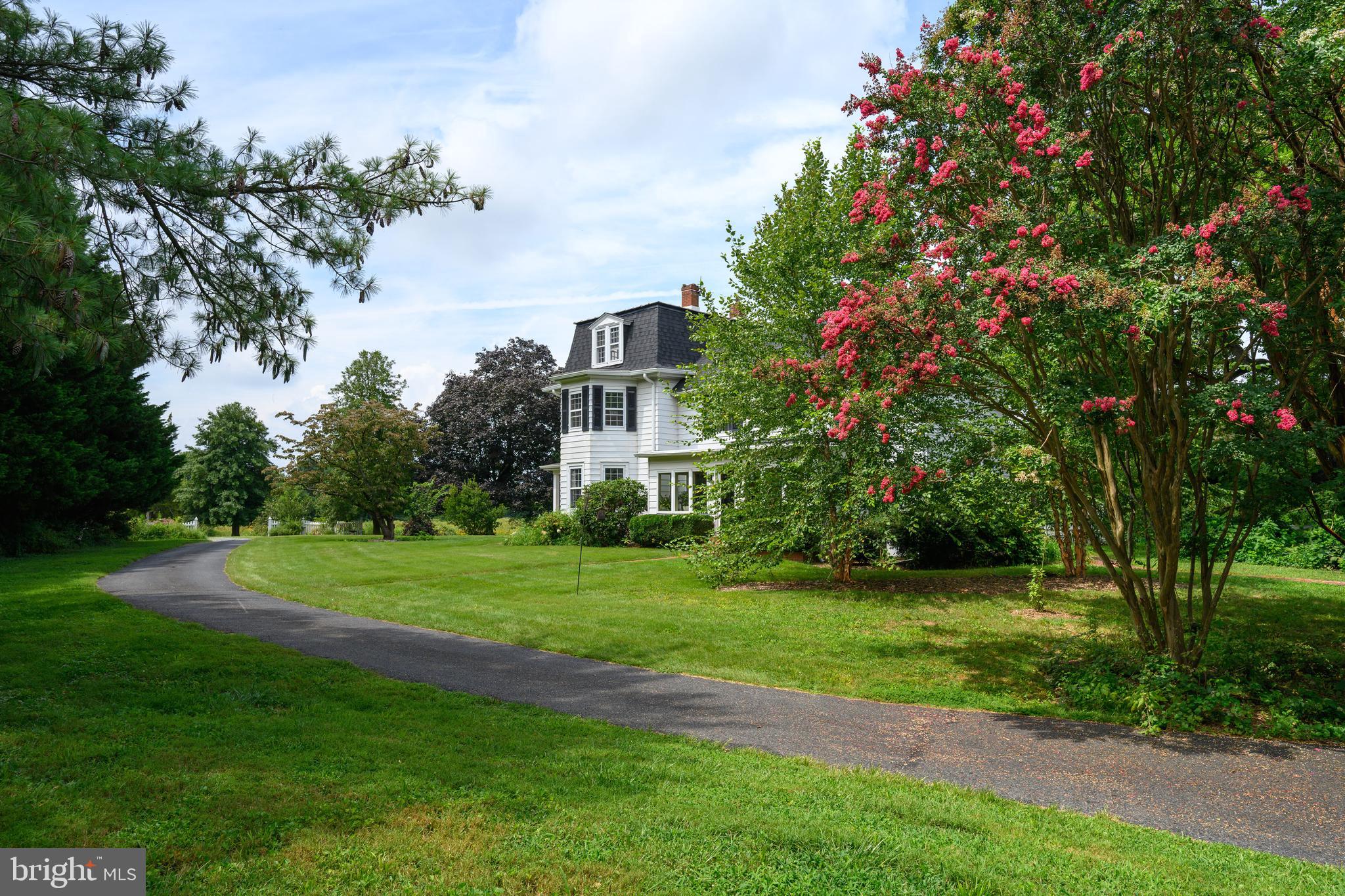 13699 Still Pond Road Still Pond, MD 21667 - Photo 11 of 55 a view of a house with a big yard and large trees