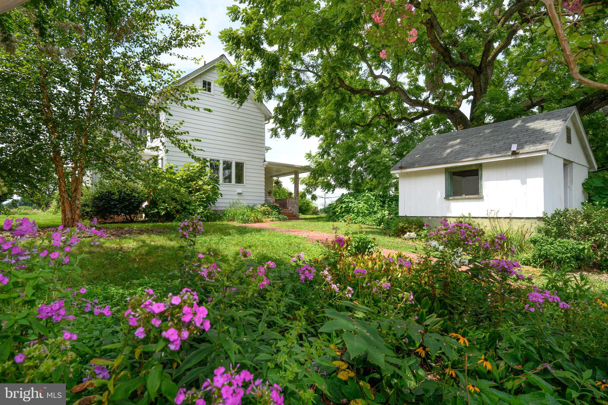 13699 Still Pond Road Still Pond, MD 21667 - Photo 12 of 55 a view of a house with a big yard and potted plants