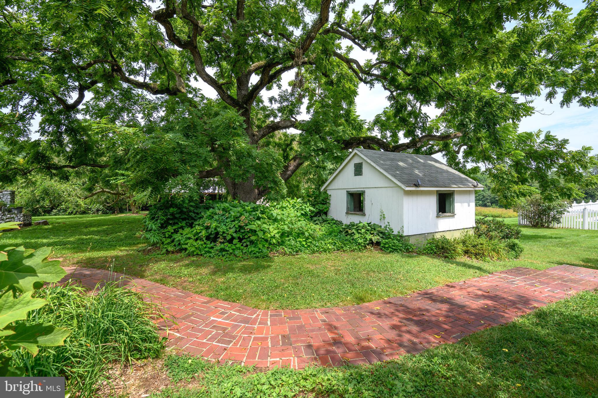 13699 Still Pond Road Still Pond, MD 21667 - Photo 14 of 55 a backyard of a house with plants and large trees