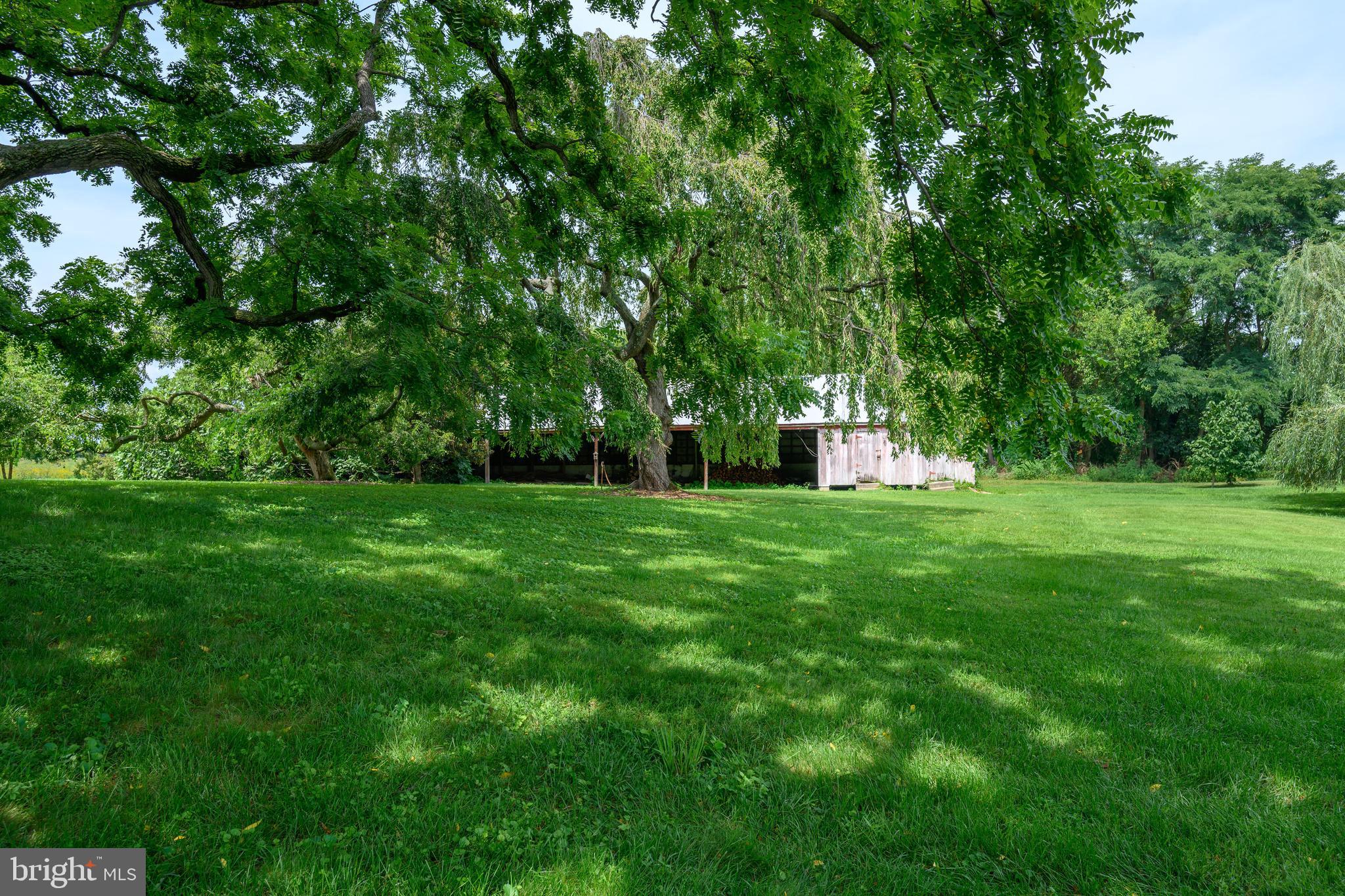 13699 Still Pond Road Still Pond, MD 21667 - Photo 15 of 55 a garden view