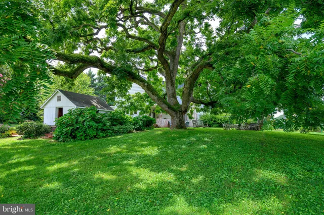 a view of a tree in front of a wooden house