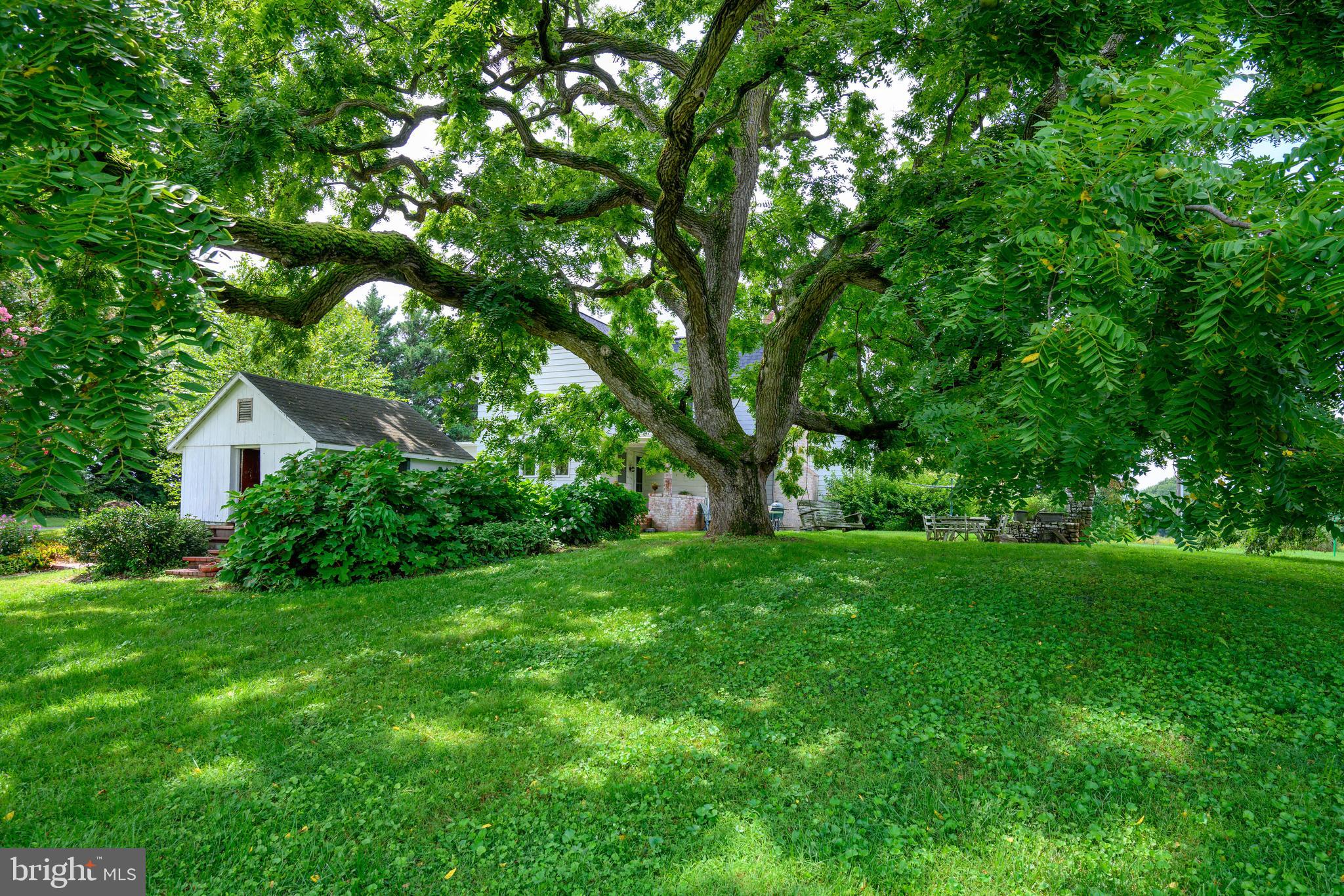 13699 Still Pond Road Still Pond, MD 21667 - Photo 16 of 55 a view of a tree in front of a wooden house
