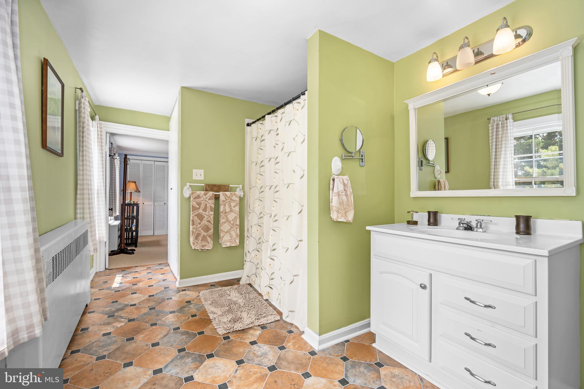 13699 Still Pond Road Still Pond, MD 21667 - Photo 42 of 55 a bathroom with a sink a toilet and shower