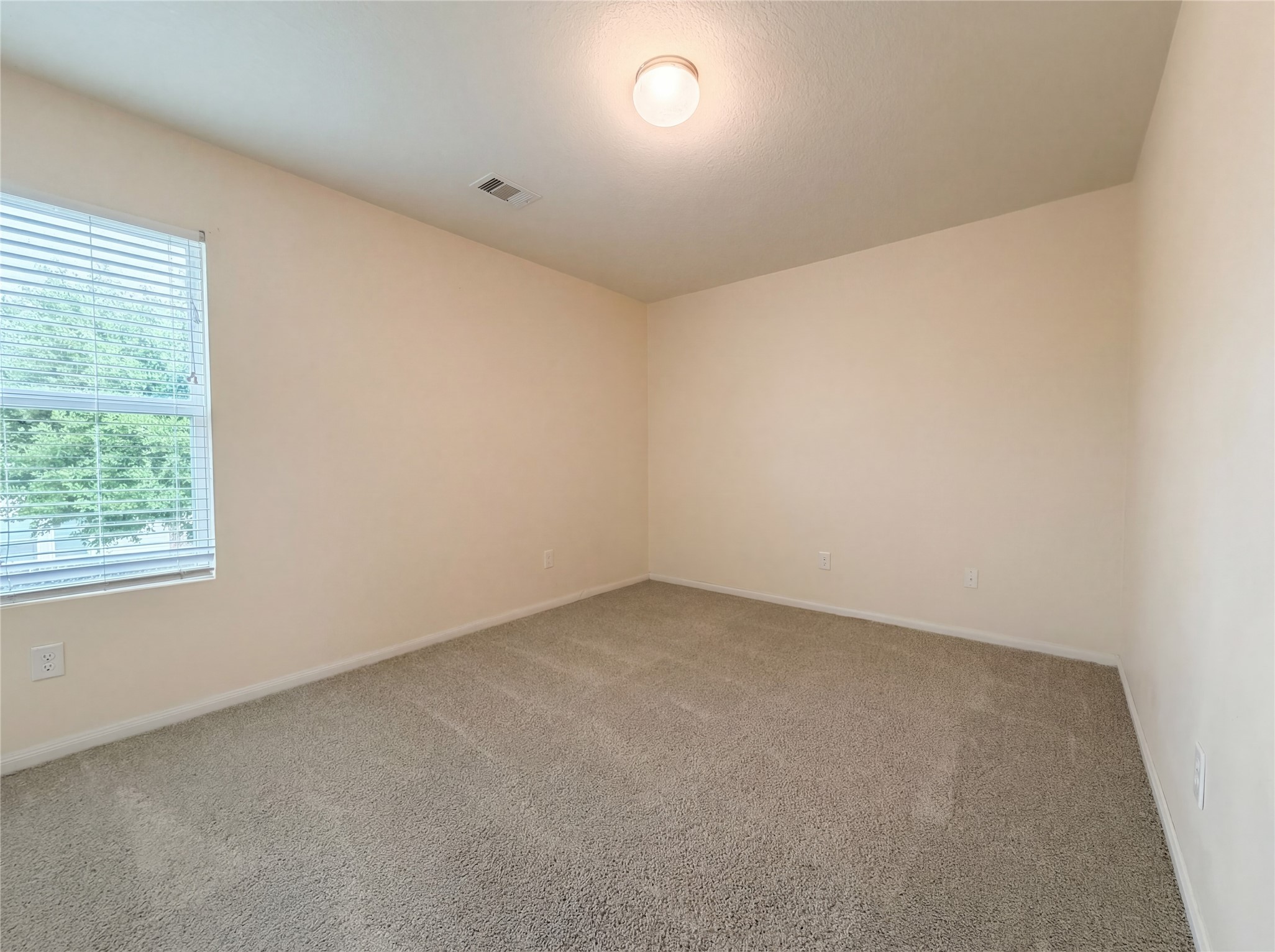 9881 Hyacinth Way Conroe, TX 77385 - Photo 17 of 18