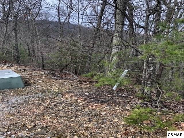 42 Harvest Moon Road Sevierville, TN 37863 - Photo 2 of 5