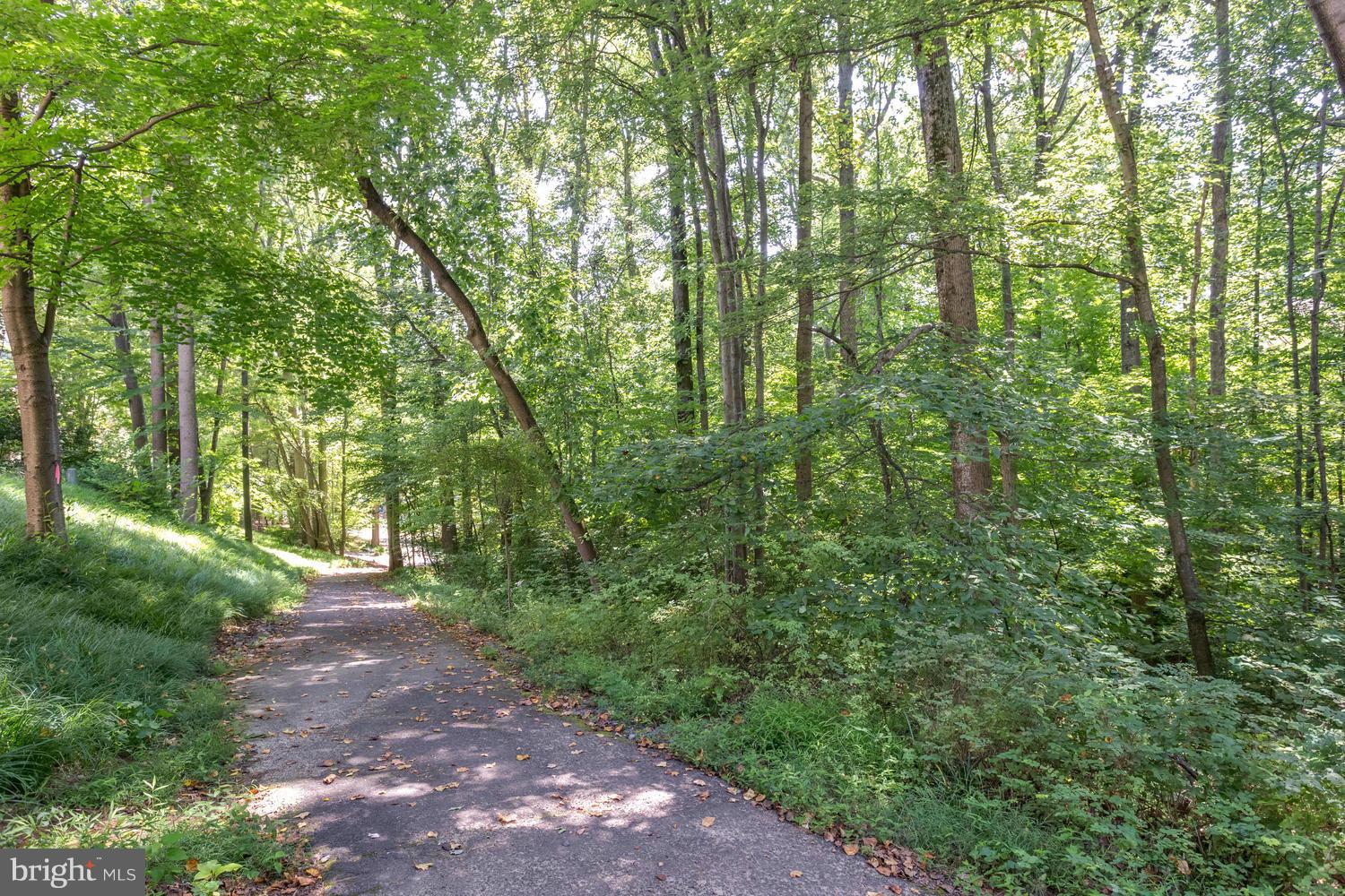 1547 Inlet Court Reston, VA 20190 - Photo 28 of 30 a view of backyard with green space