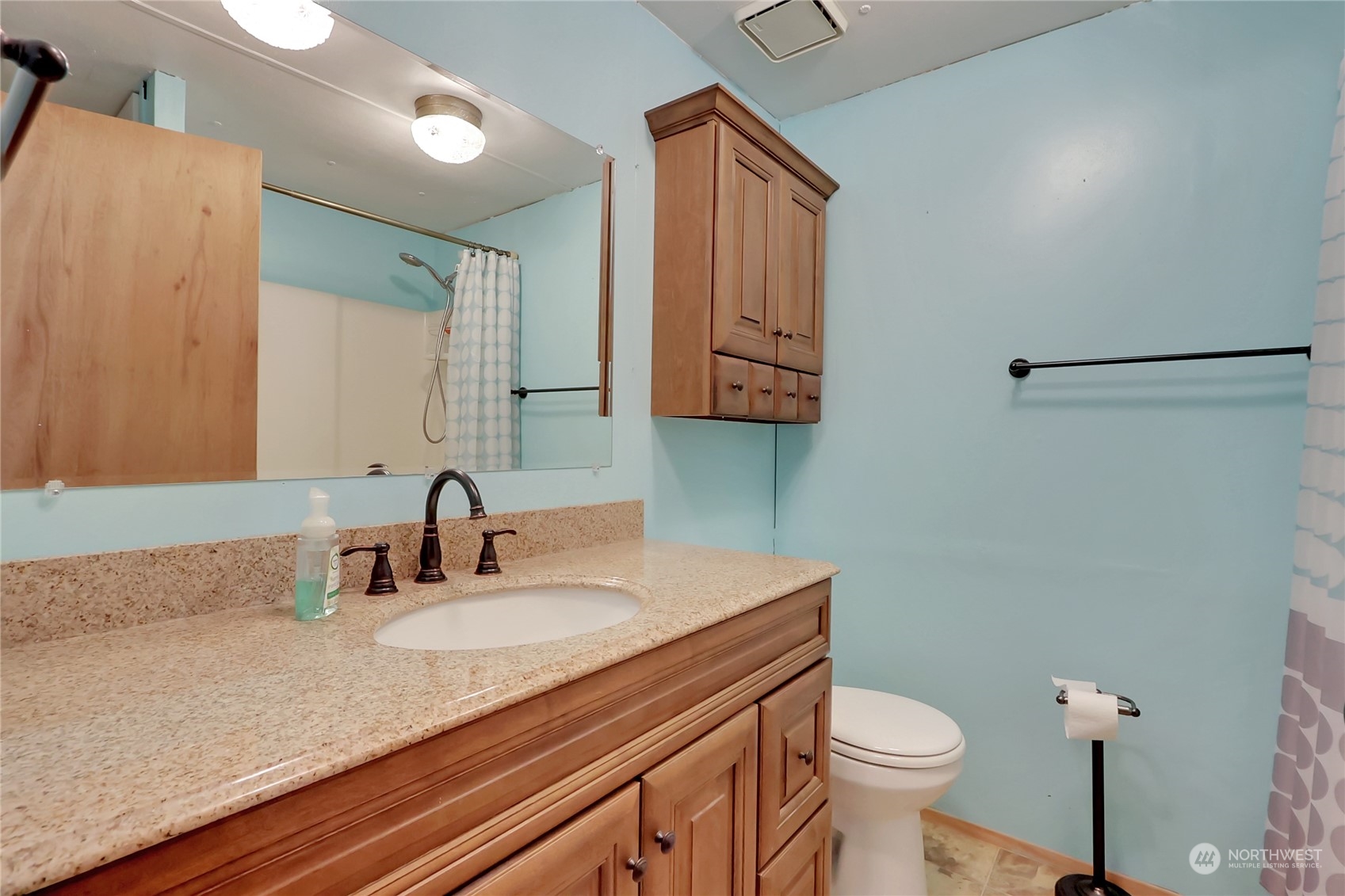 5334 254th Street East Graham, WA 98338 - Photo 12 of 33 a bathroom with a sink a toilet and mirror